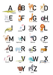 Fototapeta English alphabet with cute watercolor animals for babies, children. Stock illustration. obraz