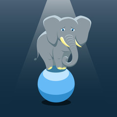 Isolated cartoon elephant on the blue ball on black background. Colorful sad elephant. Wild animal personage. Problem of exploitation of wild animals in circuses. Flat design.