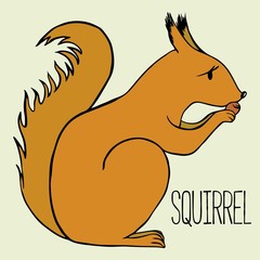 Squirrel vector illustration character cartoon animal hand drawing