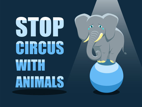 Stop circus with animals. Poster against abuse animals in circuses. Banner with text and grey elephant on the ball on blue background. Problem of exploitation of wild animals in circuses.