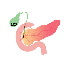 pancreas and gallbladder