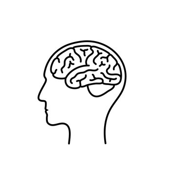 Vector isolated illustration of human brain 