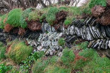 Fototapeta na wymiar Close up of a section of dry stone wall next to a Cornish footpath