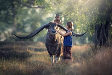 Fotobehang Asian woman farmer with son riding a buffalo in the field countryside of Thailand © Sasint