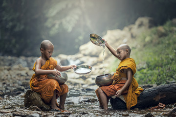 Novice Monk in Thailand - obrazy, fototapety, plakaty