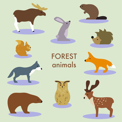 Collection of forest animals. Set of cute cartoon isolated characters and icons. Wolf, fox, moose, bear. Vector illustration in flat style.