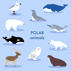 Collection of arctic animals and marine mammals. Set of cute cartoon isolated characters and icons. Whale, narwhal, polar bear, north deer. Vector illustration in flat style.