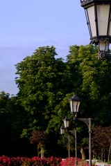 street lamps in the park