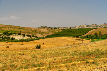 Fototapeta premium Rural landscape in Matera province at summer