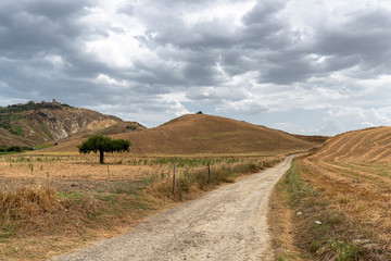 Rural landscape in Matera province at summer