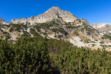 landscape around Popovo Lake, Pirin Mountain, Bulgaria
