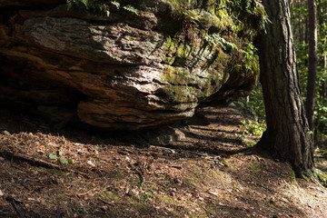 detail of niche in mushroom rocks