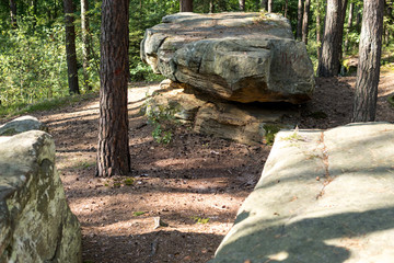 landscape with a large sandstones inside of a forest