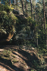 detail of niche in mushroom rocks