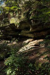 Fototapeta na wymiar detail of niche in mushroom rocks
