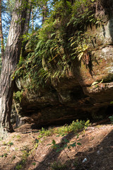 Fototapeta premium detail of niche in mushroom rocks