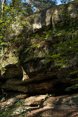 detail of niche in mushroom rocks