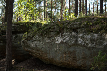 landscape with a large sandstones inside of a forest