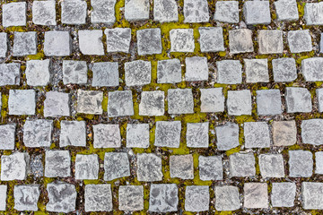 The walkway is paved with stone have moss