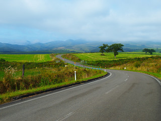 北海道の一本道