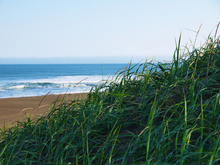 草野しげる海岸