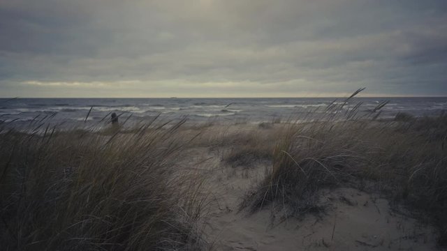 Baltic winter storm on a background of sand dunes