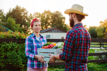 A man and a woman holding a box with a crop of farm vegetables background of the garden.