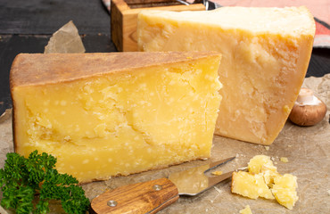 Cheese collection, hard cheeses from North Italy, aged Maniva cheese from Alps, parmesan from Parma...