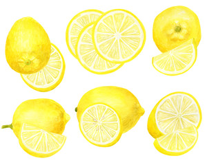Watercolor fresh lemon set. Hand drawn botanical illustration of yellow citrus fruits isolated on white background. Clipart objects for design and decoration, package, cards