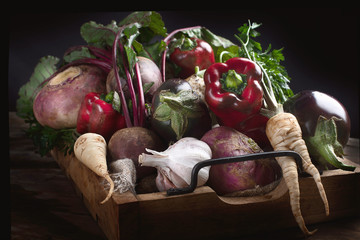 Fresh harvested vegetables.