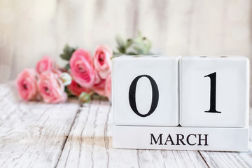 White wood calendar blocks with the date March 1st. Selective focus with pink ranunculus in the...
