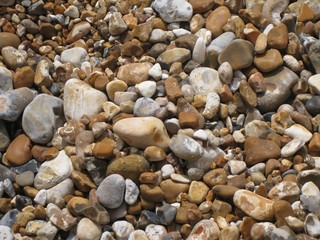 Stony coast of the English Channel