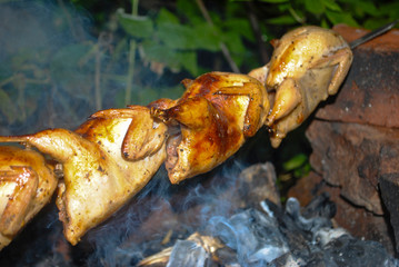 quail on the grill on a skewer on charcoals marinated in the fresh air barbecue