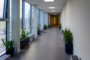 Photo of a light corridor of the interior of a modern public building.