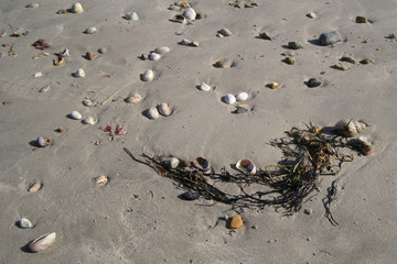 Stones on the sandy shore 2
