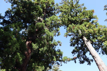 三重県　伊勢市　景色