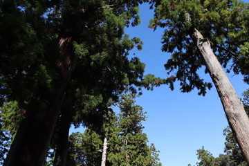 三重県　伊勢市　景色