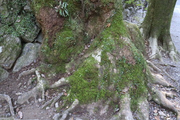 三重県　伊勢市　景色