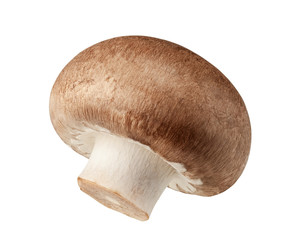 One fresh mushrooms champignon isolated on white background with clipping path