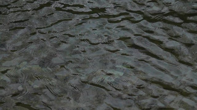 Surface of a mountain river, slow motion