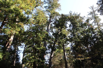 Fototapeta premium 三重県 伊勢 景色