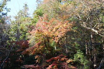 三重県　伊勢　景色