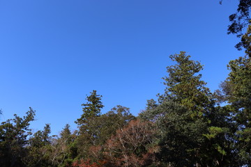 三重県　伊勢　景色