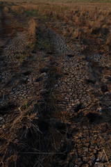 dry crack soil surface closeup nature background