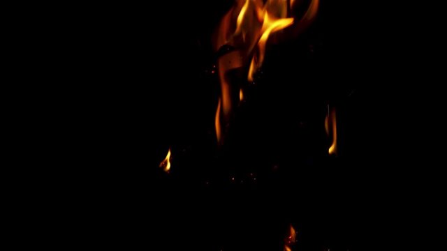 Concept design with isolated flame of fire burning wood trunks into fireplace surrounded by black background, looping video