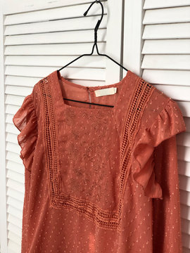 Women's Brick-colored Blouse On A Hanger Against A White Screen