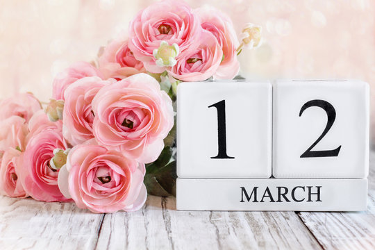 White wood calendar blocks with the date March 12th and pink ranunculus flowers over a wooden table. Selective focus with blurred background.