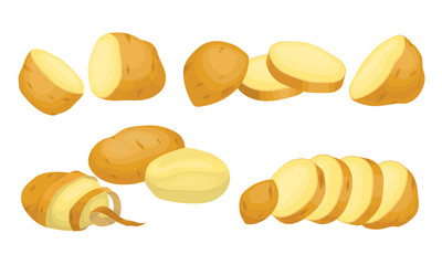 Raw Whole and Sliced Potatoes Close up Isolated on White Background Vector Set.