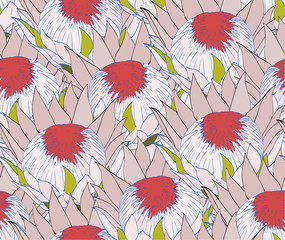 Seamless pattern with protea.