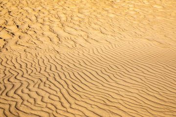 Sand on the beach forms strucktures and shapes on golden yellow fine sand background pattern holiday season summer travel vacation abstract line lines wave wavy